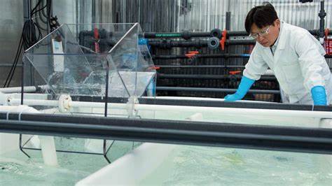 In Seawater, Researchers See an Untapped Bounty of Critical Metals