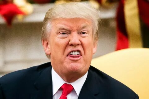 Behind the Trump Crypto Project Is a Self-Described ‘Dirtbag of the Internet’