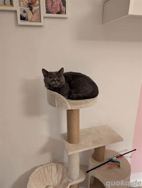 Kleinanzeigen Duisburg: Kostenlose Kleinanzeigen in Duisburg 