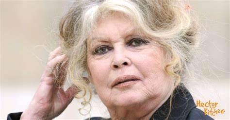 Comment solliciter l’aide de la Fondation Brigitte Bardot