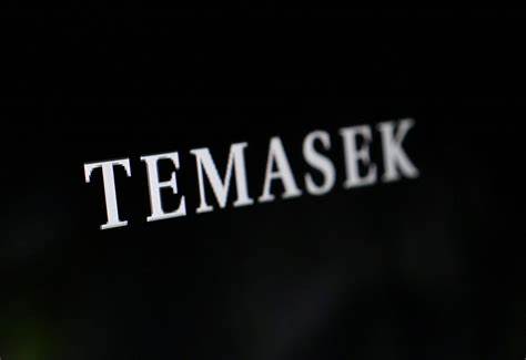 Temasek sees more opportunities in Europe after investing $7.8 billion in region last year