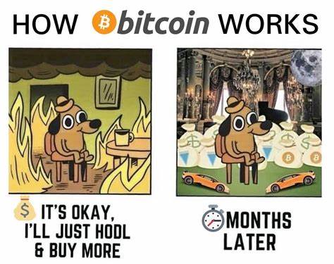 Bitcoin price ATH in memes: ‘Same same, but different’ - Cointelegraph