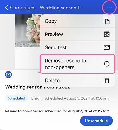 Ask HN: Is Resend a better option to send Emails in bulk?