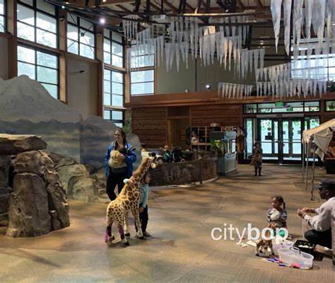 10 BEST Things to Do at Woodland Park Zoo - CityBOP