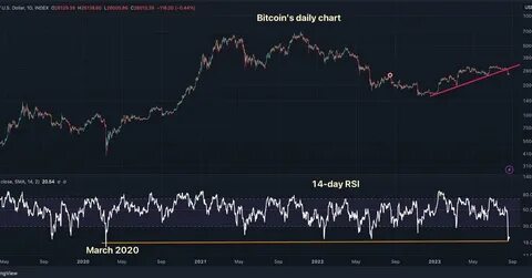 Bitcoin shows relative strength as dollar plummets erasing election gains - CryptoSlate