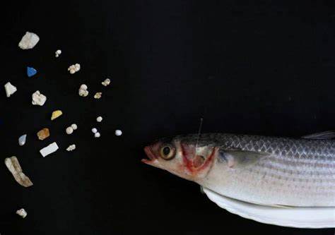 Millions of tonnes of nanoplastics are polluting the ocean