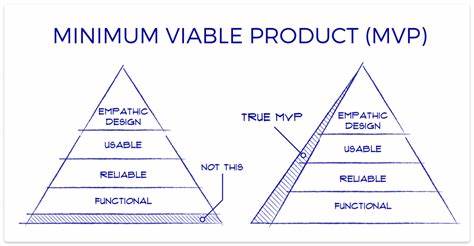 Evolution of Minimum Viable Product