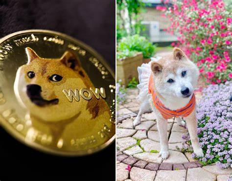 Kabosu, The Dog Behind Dogecoin, has Died 11 Years after Inspiring a Memecoin - CCN.com