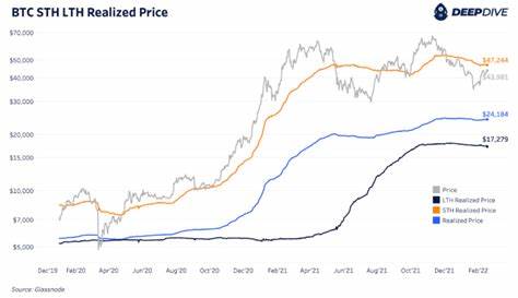 Bitcoin’s short-term holders offload $2.4 billion amid price drop below $95,000 - CryptoSlate