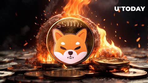 SHIB Skyrockets 2,834% In This Metric Despite Price Remaining 6% Down - U.Today