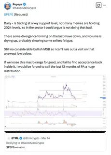 Experts Predict PEPE Coin Crash While New Memes March Forward - NewsBTC