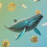 Why mystery crypto whale moved nearly $5 billion in Bitcoin to Galaxy 