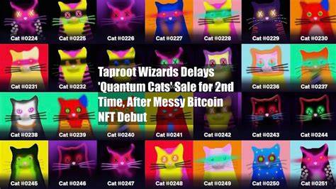 Taproot Wizards Delays 'Quantum Cats' Sale for 2nd Time, After Messy Bitcoin NFT Debut - CoinDesk