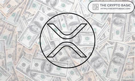 If You Still Don’t Hold XRP, You’re Doing Something Wrong: Expert - The Crypto Basic