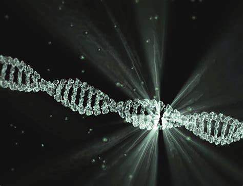 Editas Surpasses Therapeutic Gene Editing Threshold in New Preclinical Data