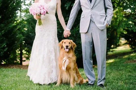 How To Include Your Dog In Your Wedding Without Stressing Them (Or Yourself) Out - Forbes