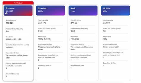 How does Netflix in South Africa work: packages, plans, and prices