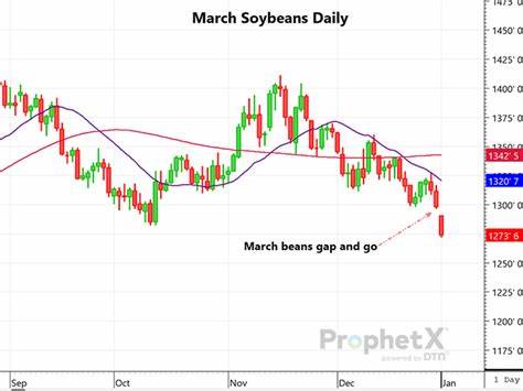 Soybeans Gap Lower from Long Weekend
