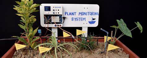 Plants monitor the integrity of their barrier by sensing gas diffusion