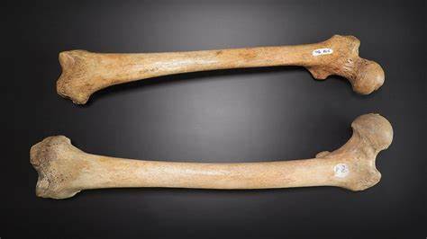 Scientists 3D-print part of human femur as strong as real bone