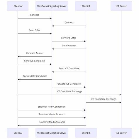 VeilNet Built on Pion WebRTC, Replacement for Tor and Tailscale