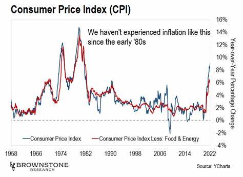 The Consumer Price Index Just Hit 9.1% - Brownstone Research