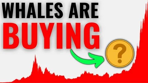 Best Crypto To Buy Now? Here’s What Whales Have Been Buying In March - CryptoDaily