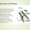 Prion