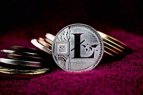 Is Litecoin the Third Contender for a Cryptocurrency Spot ETF? - 블루밍비트