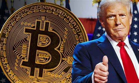 Trump-Fueled Bitcoin Mania Leaves Most of Crypto in the Dust
