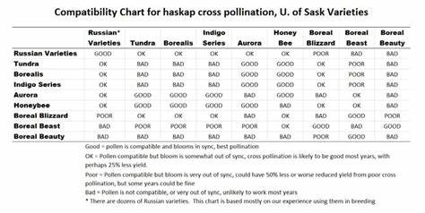 Honeyberry/Haskap Bloom Chart