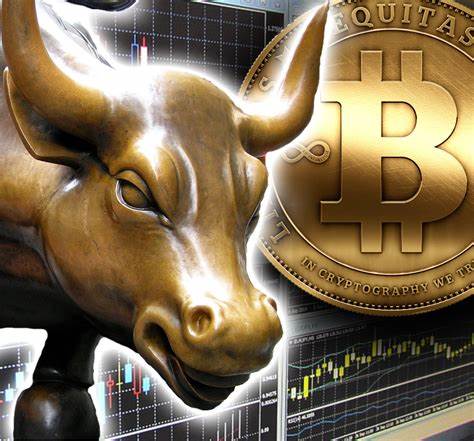 We’re looking at the weirdest crypto bull run of all time - MSN