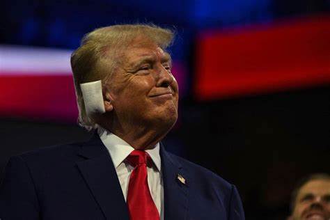 Trumps Wahlsieg könnte Solana zum großen Krypto-Gewinner machen