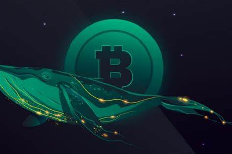 Crypto Whales and MicroStrategy Buy Over $302 Million in Bitcoin Amidst Price Dip - BeInCrypto