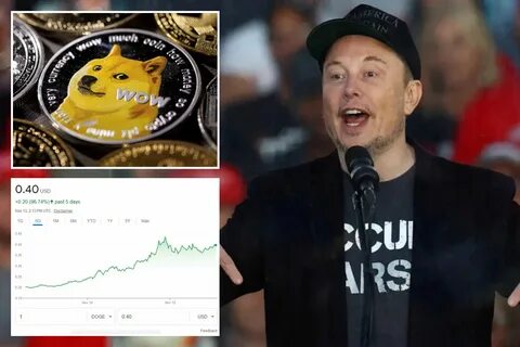 Dogecoin Logo Appears on Elon Musk-led Department of Government Efficiency Website - Decrypt