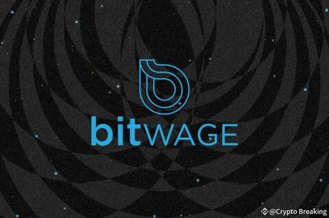 Bitwage Powers Bitcoin Payroll for 4,500 Companies - Crypto Times