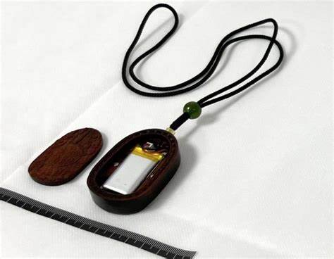 Rice grain-sized earphone may have been used to cheat on TOEIC English test