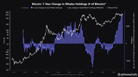 Record-Breaking $517 Million Bitcoin Short Placed By Influential Whale—Analyst Says The Investor Isn't Dumb
