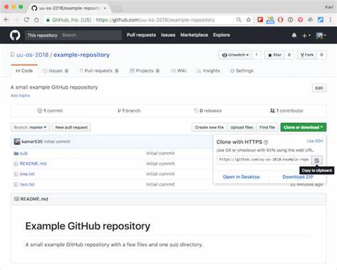 A GitHub repo with no code, just a memory and a license written for her