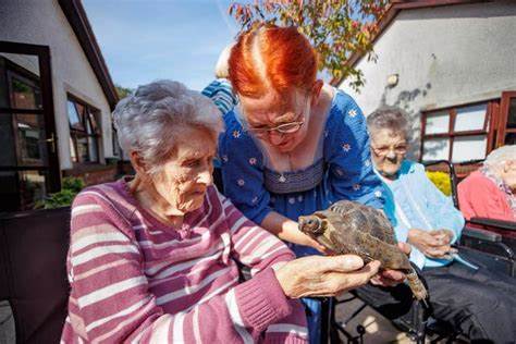 Animal Whisperer’s cuddly creatures bring comfort to care home residents