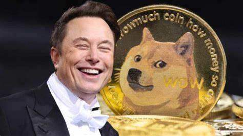 Elon Musk Issues Warning for Dogecoin Investors, Explains Why DOGE Is His Favorite Crypto - CryptoPotato