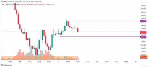 Solana (SOL) Price Prediction for January 24 - Binance