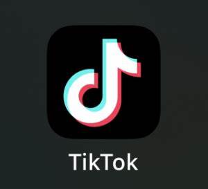 Echo Chambers & The “Wrong Side” of TikTok - - Saint Xavier University Student Media