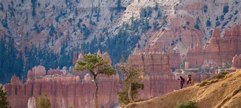 See the Bryce Amphitheater - U.S. National Park Service
