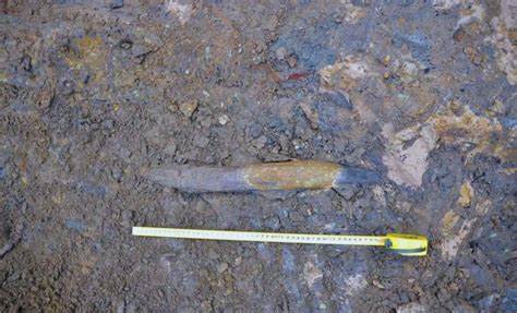300k-year-old wooden tools from southwest China