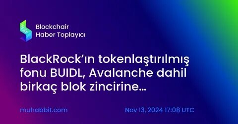 BlackRock’s BUIDL Fund Soars to $1B AUM, Gaining 56% in 30 Days – Nate Geraci Reacts to the Surge! - Coinfomania