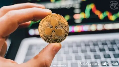 Crypto Adoption in 2024: Trends and What’s Coming in 2025 - hackernoon.com