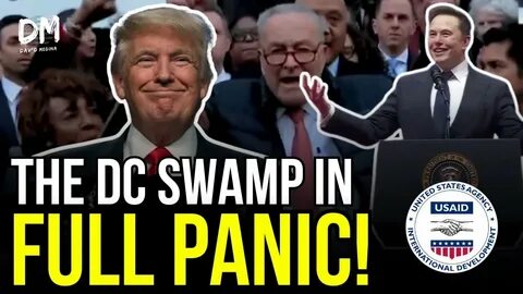 Everything You Need to Know About Trump Tariffs - Coinchapter