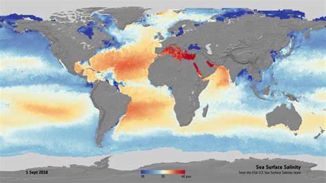 Rising surface salinity declining sea ice: Southern Ocean state revealed by sats