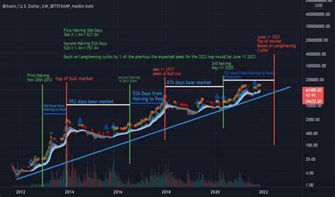 Bitcoin’s Latest ATH: Is The Top Finally In Or Just Getting Started? - TradingView